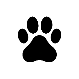 DogHappyAcademy