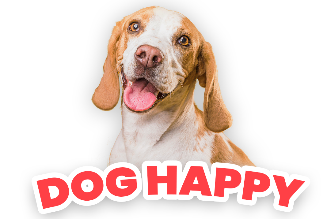 DogHappyAcademy